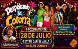 Despeinando la Cotorra - Mérida