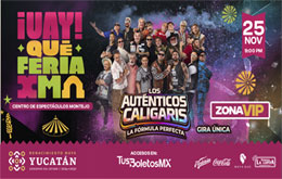 Feria Xmatkuil 2026:  
